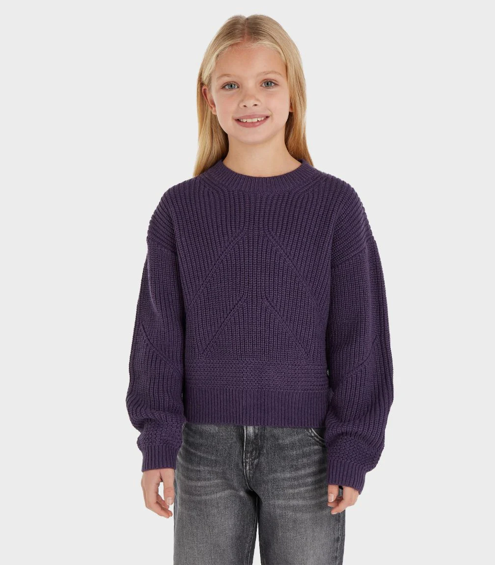 Calvin Klein  - Girls -  Travelling Stitch Sweater Regular Fit - Image 25