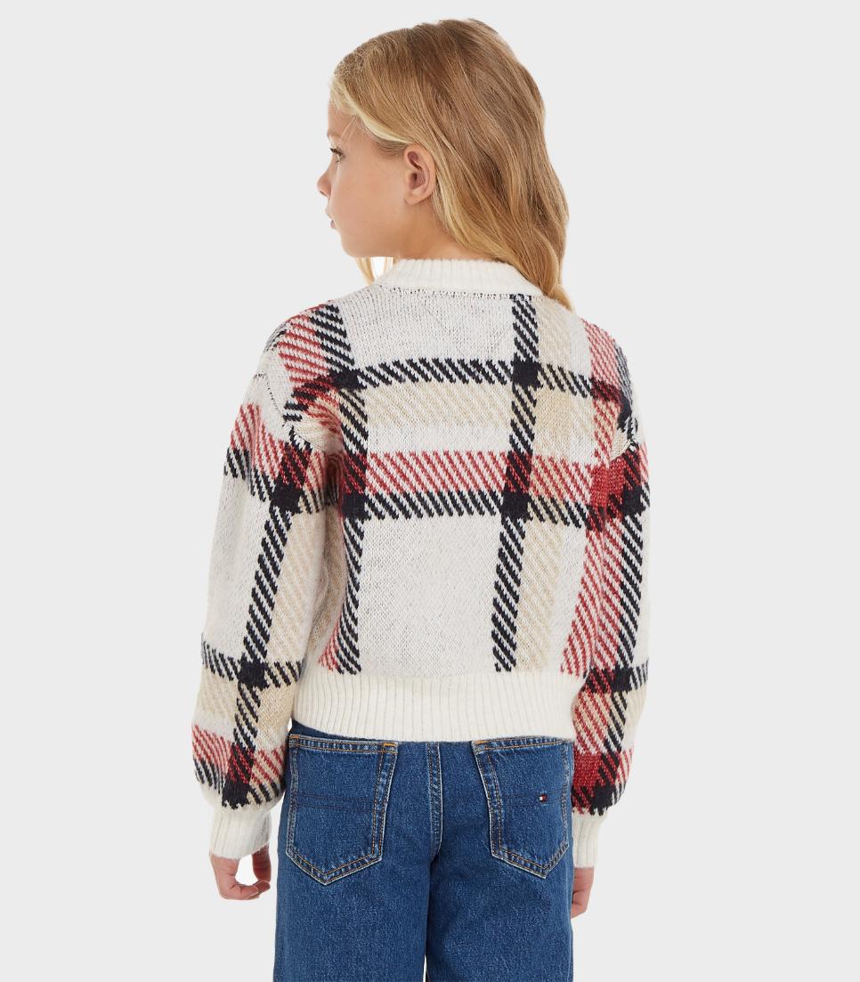 Tommy Hilfiger  - Girls -  Hilfiger Check Crew Neck Sweater Relaxed Fit - Image 5