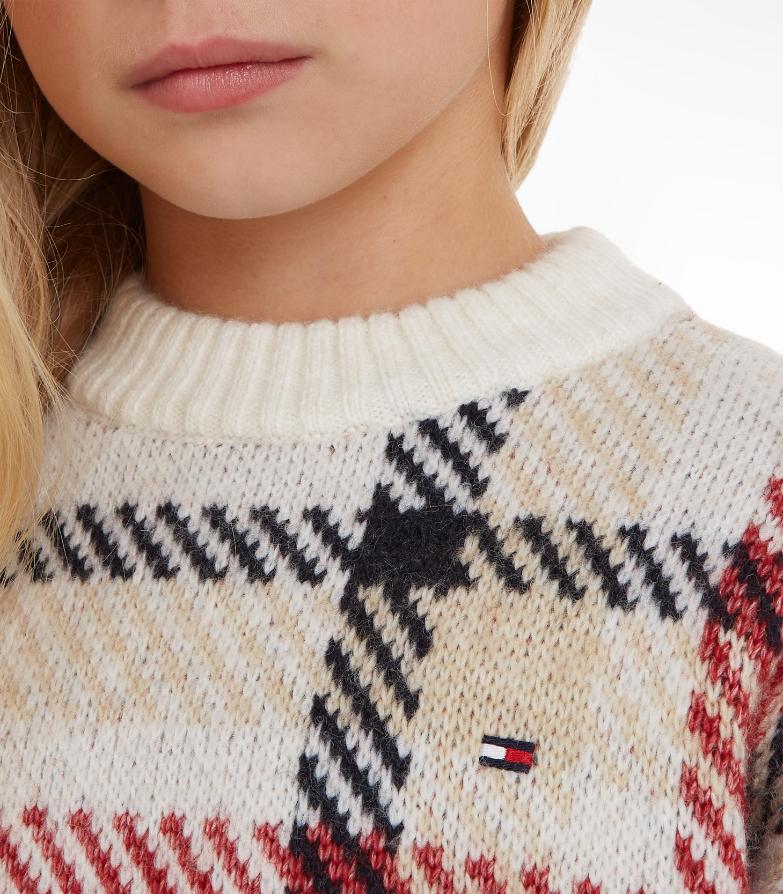 Tommy Hilfiger  - Girls -  Hilfiger Check Crew Neck Sweater Relaxed Fit - Image 6